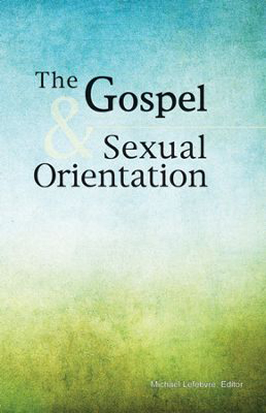 Sexual orientation literature review